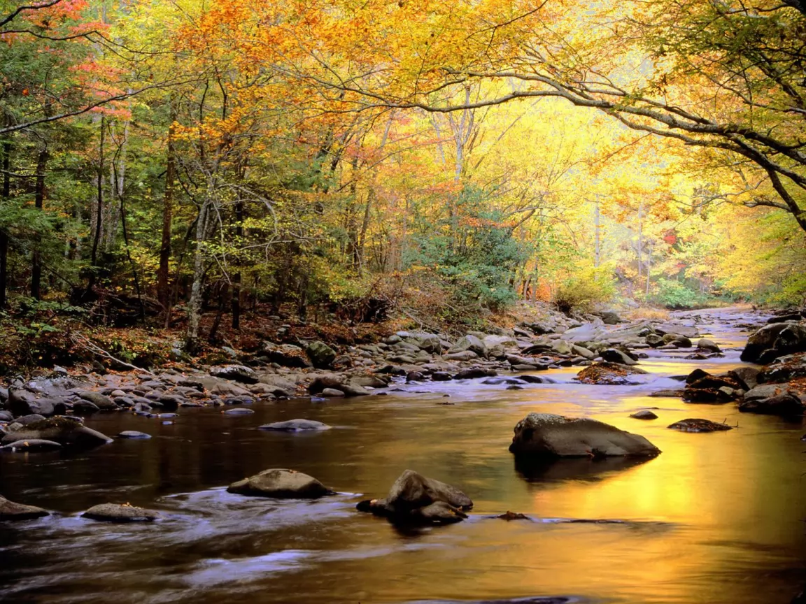 . Golden Waters, Great Smoky Mountains Nat, , , , ,  