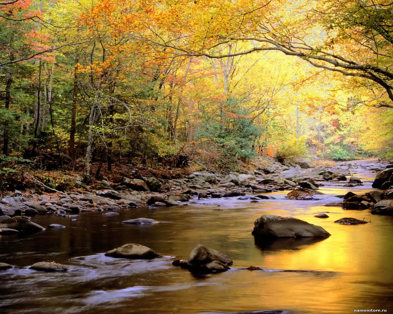 . Golden Waters, Great Smoky Mountains Nat, , , , ,  