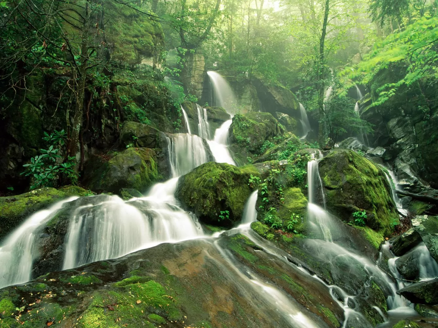 Tennessee. Great Smoky Mountains National Park, America, falls, green, nature x