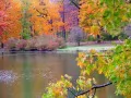 open picture: «Colours of autumn»