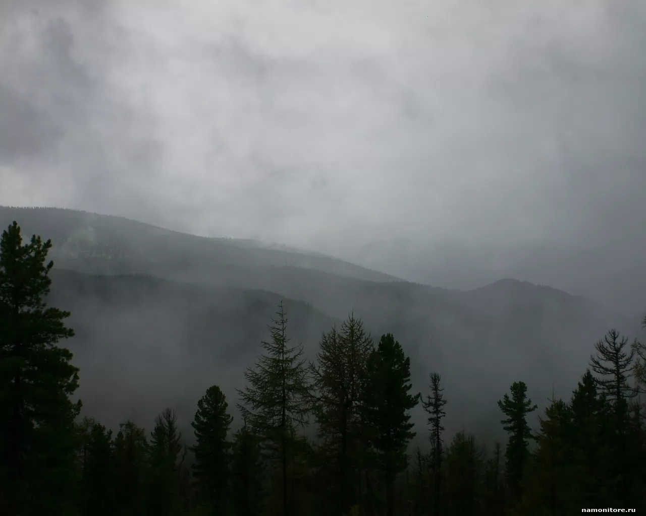 Nature grey. Горы туман серый цвет. Обои серый туман. Серые фото природы. Серый цвет в природе фото.