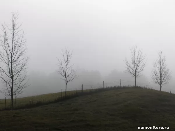 Fog, Nature