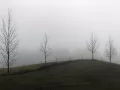 current picture: «Fog»