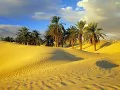 выбранное изображение: «Тунис. Оазис в пустыне»