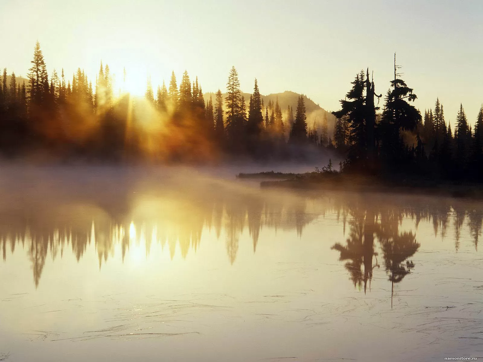 Утренний туман, озеро, природа, туман х