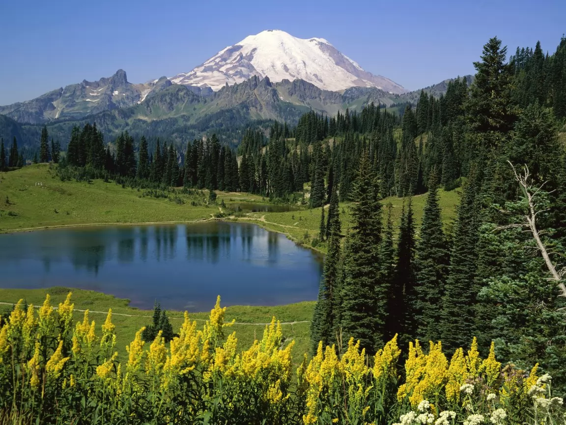 . Natural Beauty, Mount Rainier National, , , , ,  