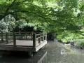 обои для рабочего стола: «Японский сад»