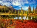 open picture: «The is bright-autumn landscape»