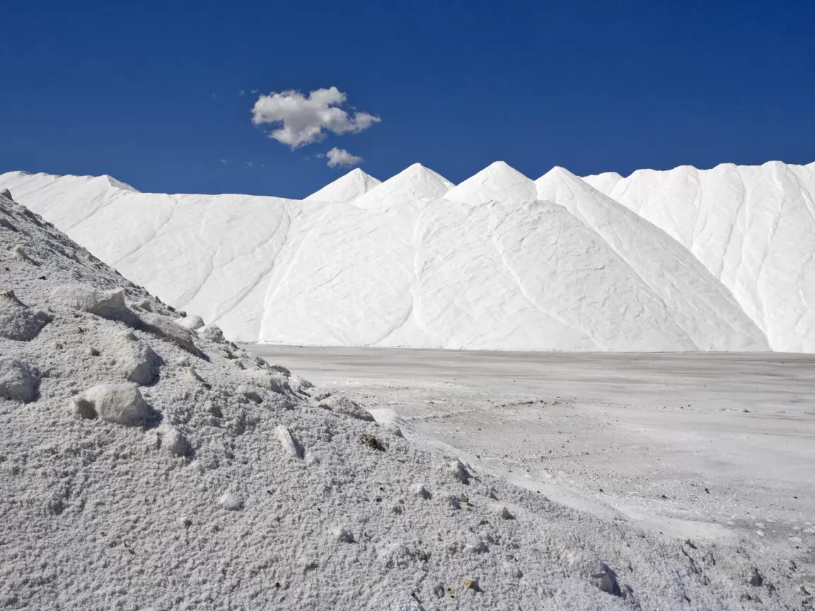 . Salt Mounds, Near Great Salt Lake, , , ,  