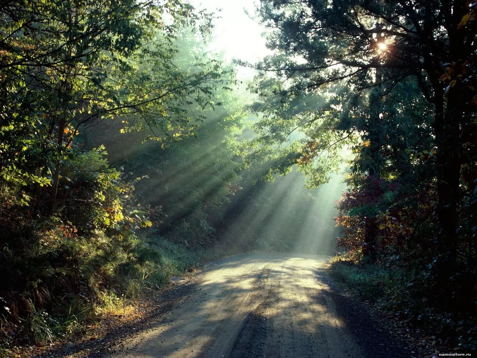 Дорога шла лес озера. Светлая дорога. Лесная дорога. Природа лес дорога. "Солнце в лесу".