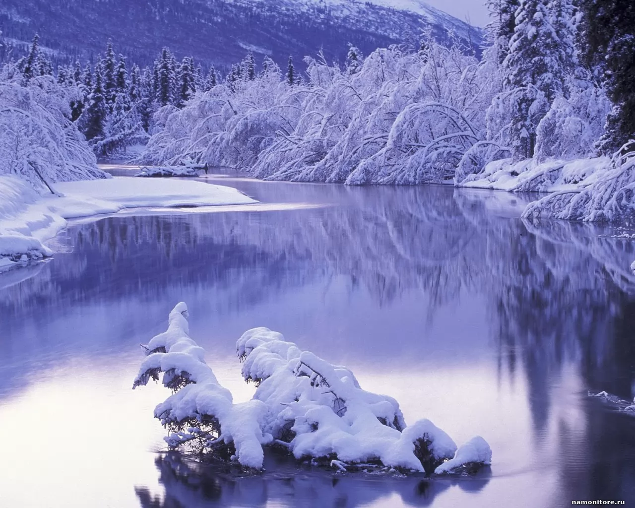 Заснеженный пейзаж, зима, лес, озеро, природа, синее, сиреневое х