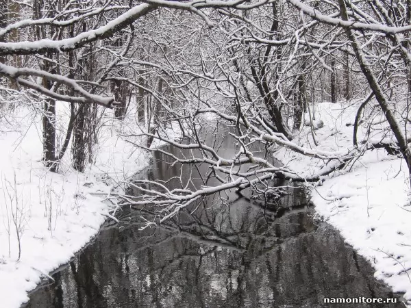 Зима в начале, Природа