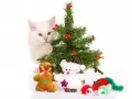 выбранное изображение: «Котёнок и новогодняя ёлка»