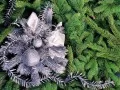 current picture: «Silvery New Year`s ornaments on a fur-tree»