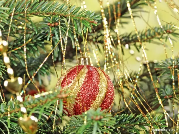 Sphere on a fur-tree, New year