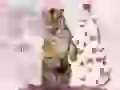 Tiger at a fur-tree
