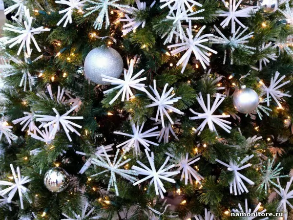 Звезды на елке, Новый год