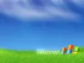 выбранное изображение: «Windows XP»