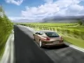 выбранное изображение: «Porsche Panamera летит по дороге вдоль виноградников»