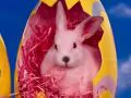 Pink easter hare