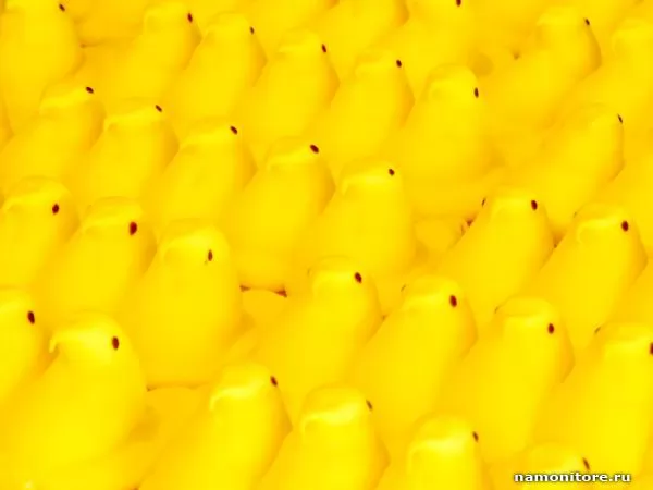 Скопище жёлтых пластмассовых цыплят