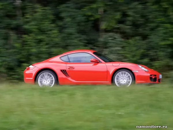 Porsche Cayman, Porsche