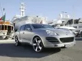 Silvery Rinspeed