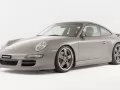 Grey Rinspeed