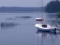 Fog on lake