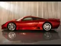 Red Saleen a side view
