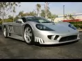 Silvery Saleen costs on road