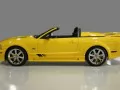 Yellow opened Saleen