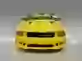 Yellow Saleen on a grey background