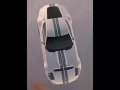Shelby a kind strictly from above