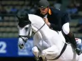 open picture: «Equestrian sport. К»