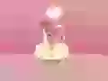 Romantic supper