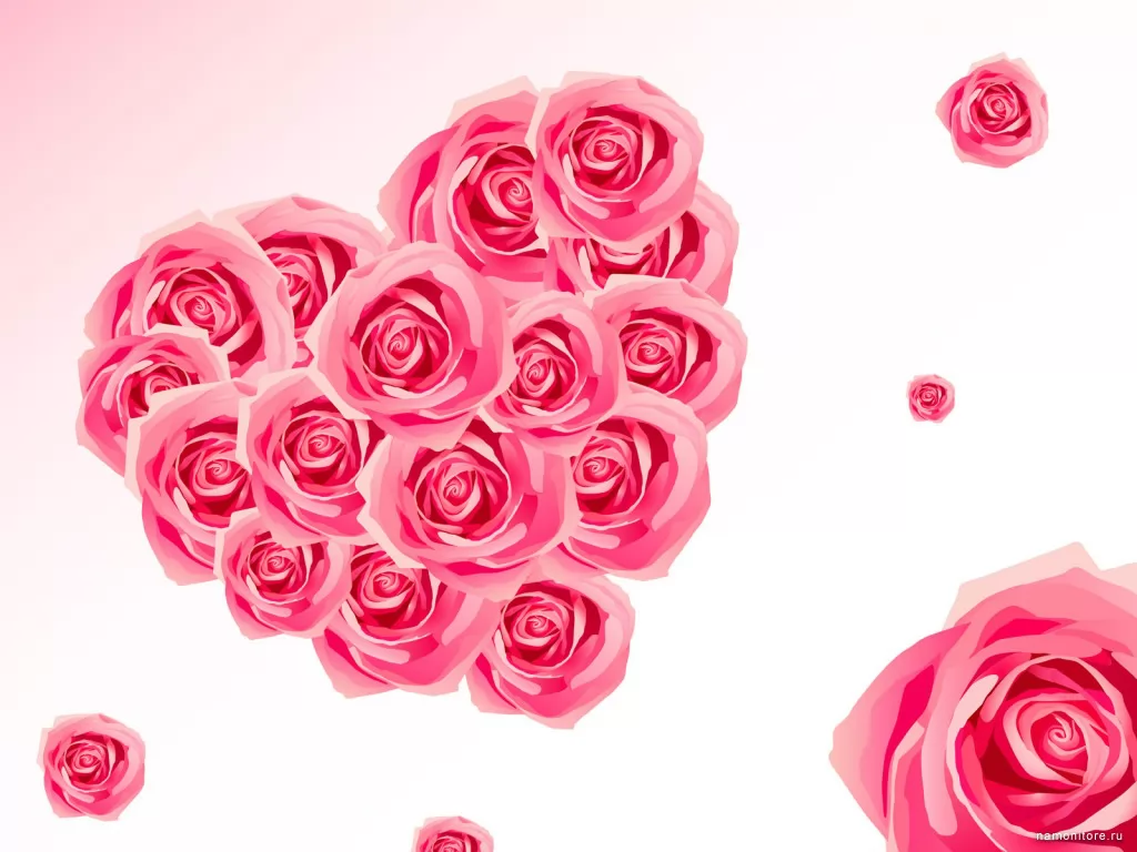 Сердце из роз, белое, день святого Валентина, праздники, розовое, розы, сердце, цветы х