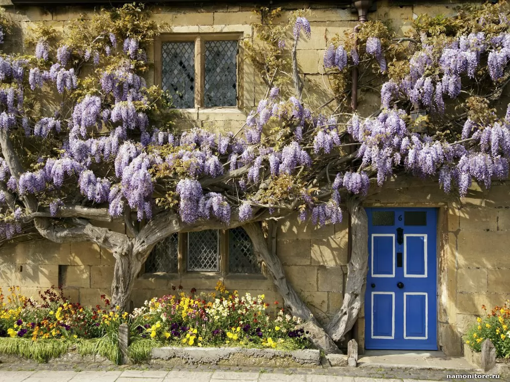 . Wisteria-Covered Cottage, The Cotswolds, ,   ,  