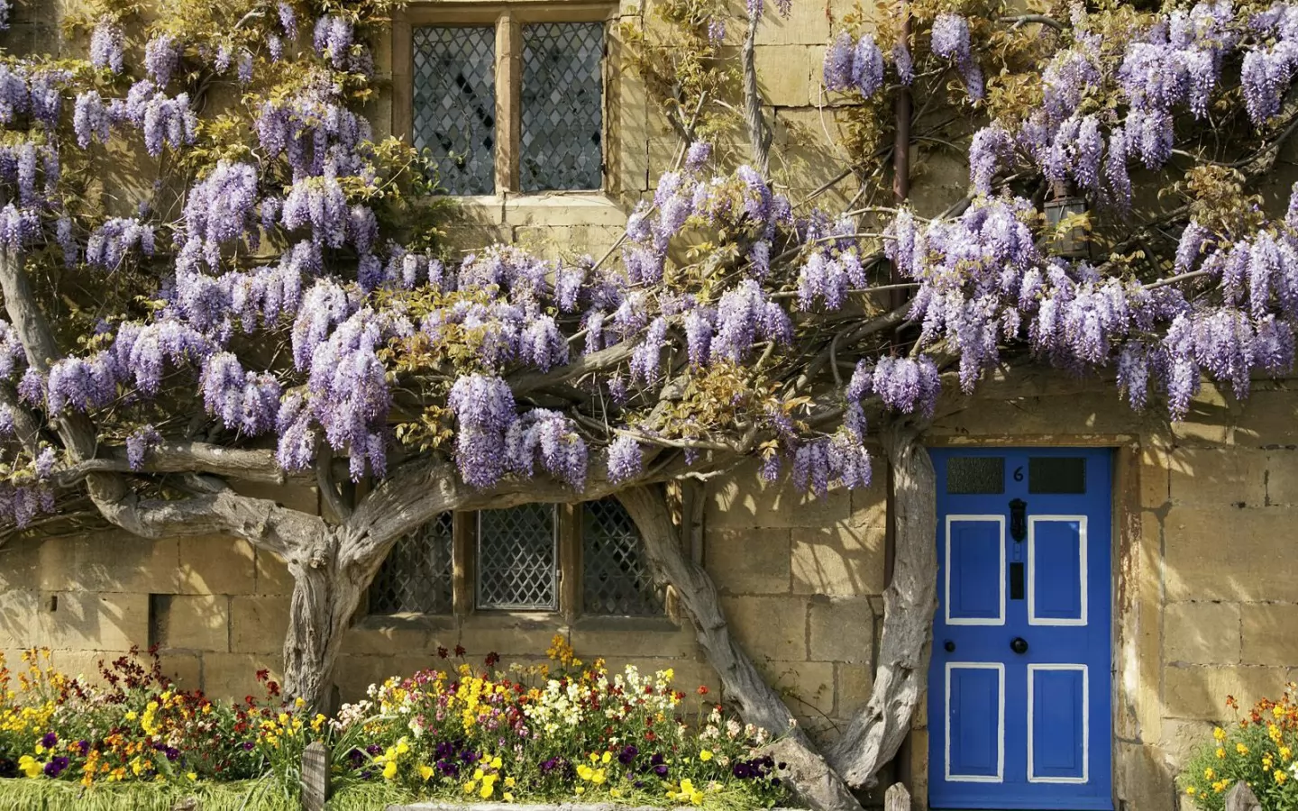 . Wisteria-Covered Cottage, The Cotswolds, ,   ,  