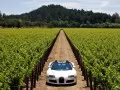 обои для рабочего стола: «Белый Bugatti Veyron 16.4 Grand Sport на плантации»