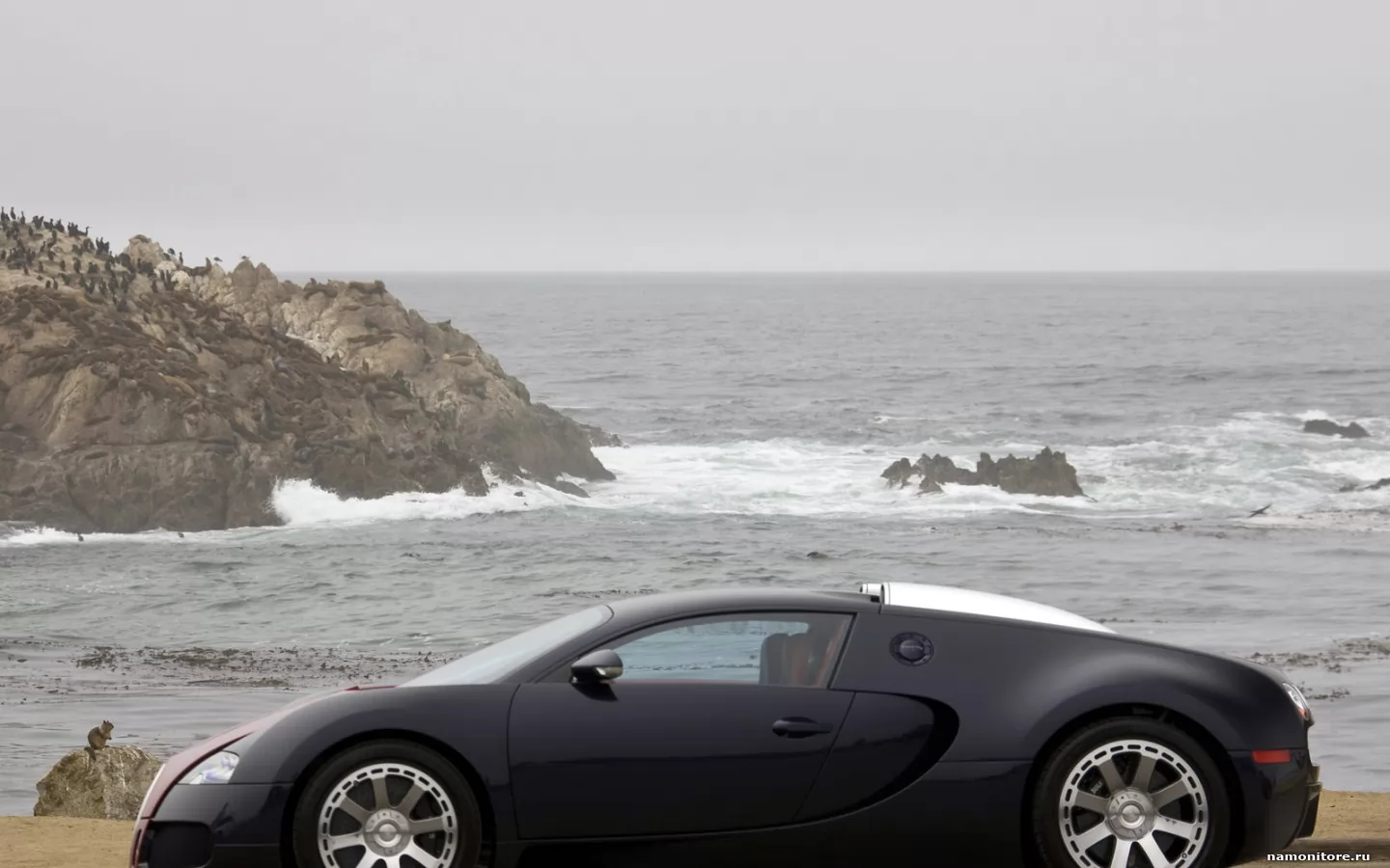 Bugatti Veyron Fbg par Hermes   , Bugatti, , , , ,  