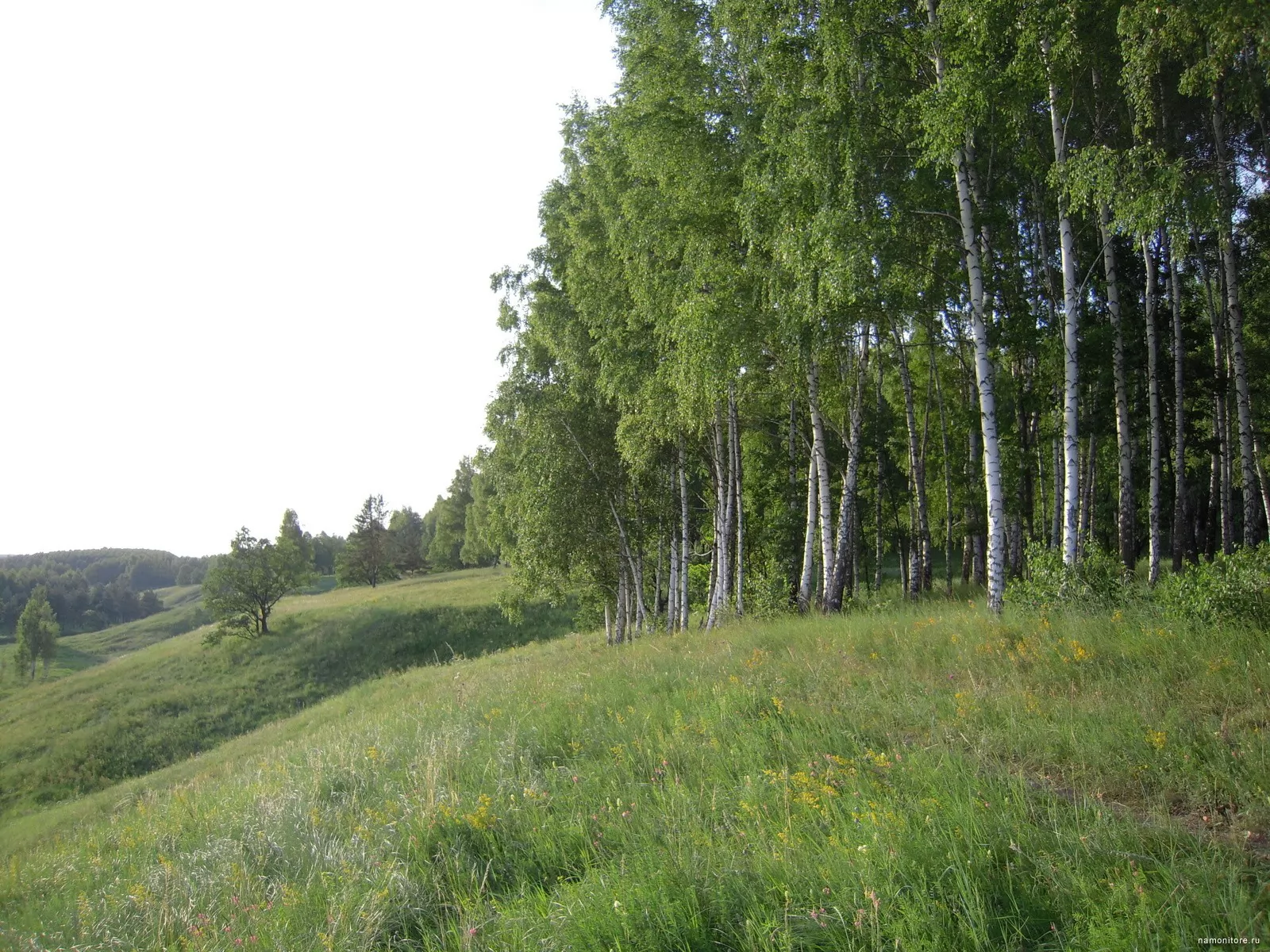 Купить Участок Земли В Кемерово