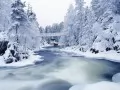 open picture: «Frozen River»