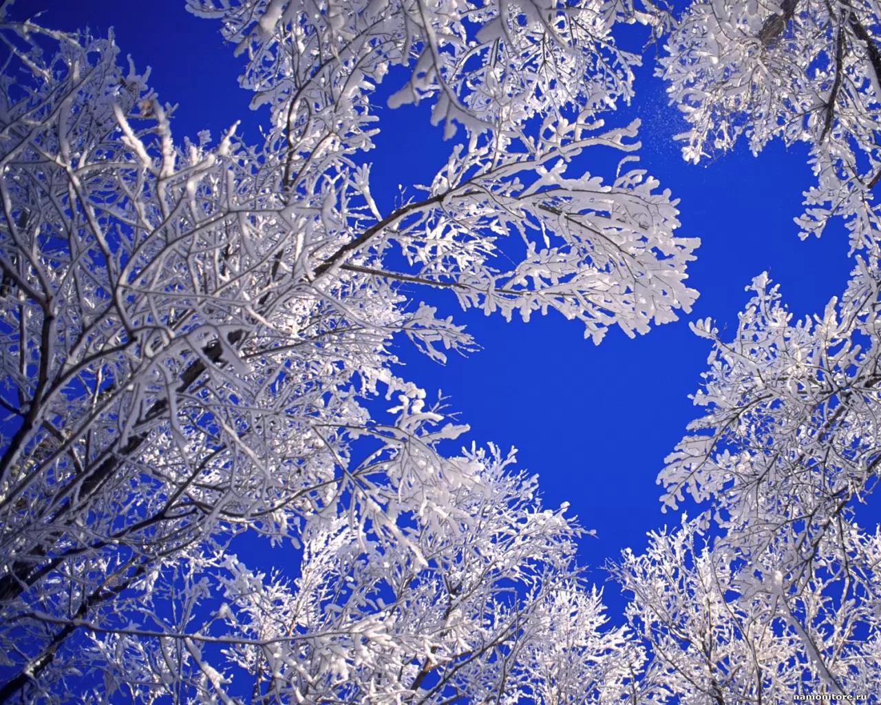 . Frosted Trees, Boulder, , ,  