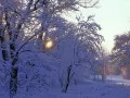 open picture: «Winter landscape»