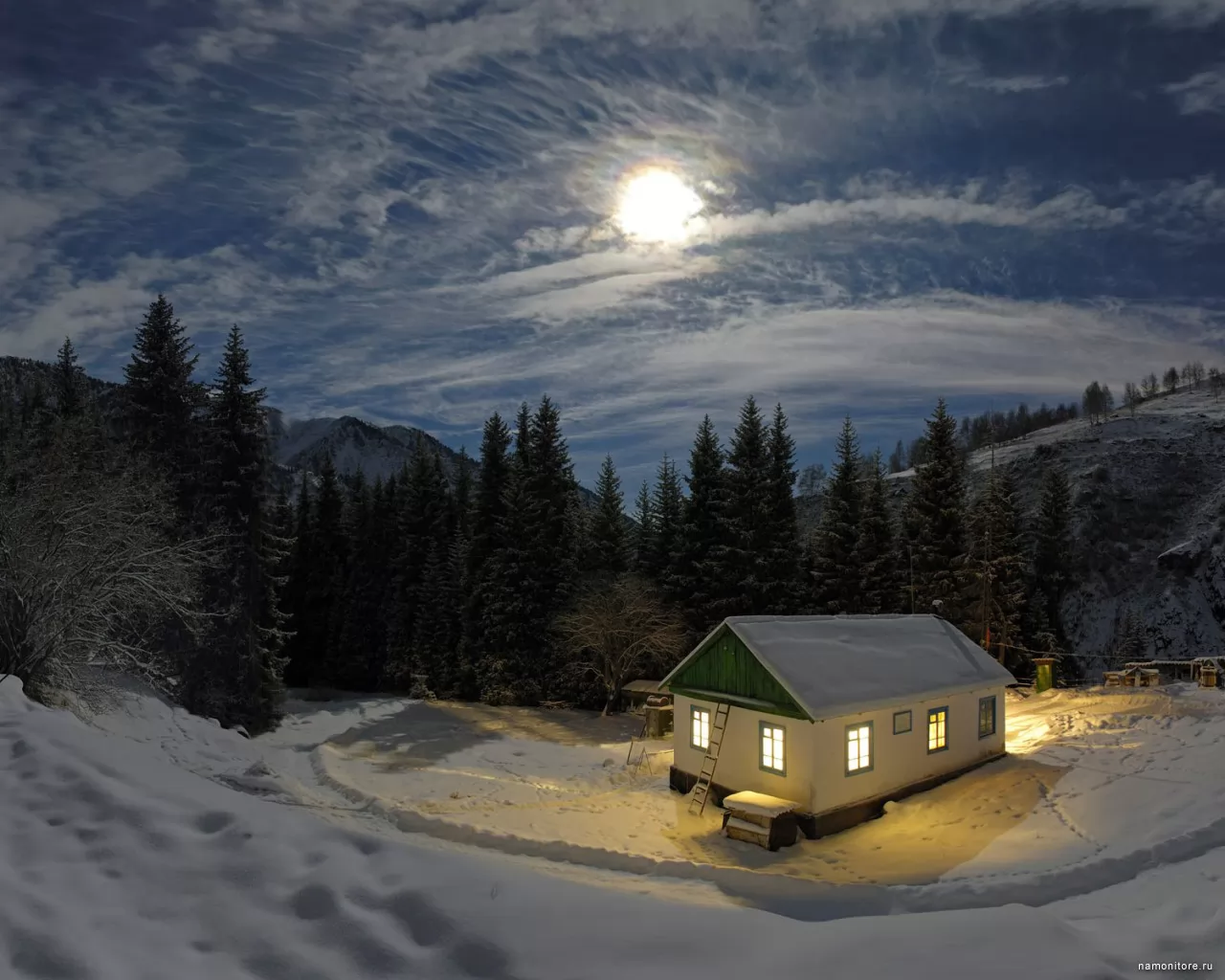 Зимняя ночь, зима, лес, лучшее, ночь, пейзажи, природа, синее х