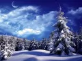 open picture: «Winter night»