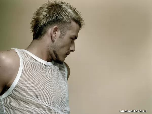 David Beckham, Знаменитости / Звёзды
