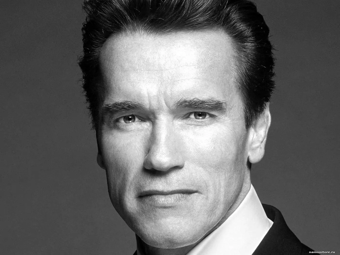 Arnold Schwarzenegger, знаменитости, мужчины, портрет, серое, чёрно-белое х