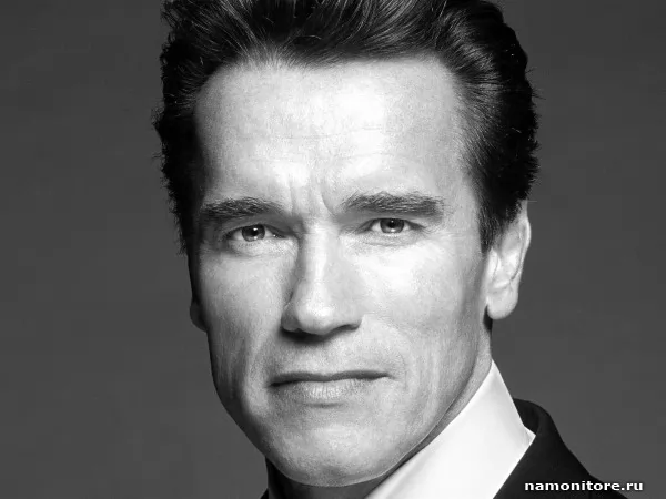 Arnold Schwarzenegger, Celebrities